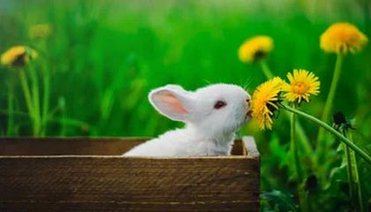 专业体育游戏-高诗岩社媒分享Vlog：不管何时家人永远是我最坚强的后盾